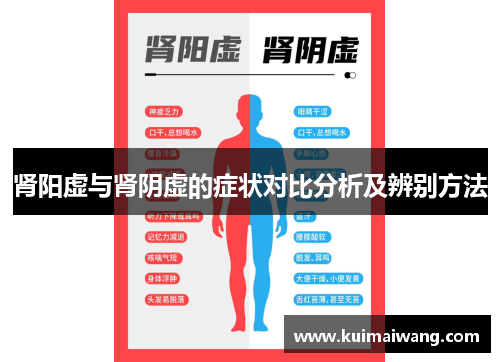 肾阳虚与肾阴虚的症状对比分析及辨别方法